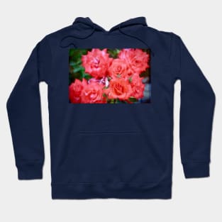 Rose 346 Hoodie